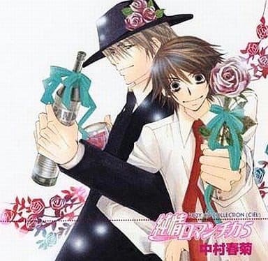 Nakamura Shungiku, Junjou Romantica