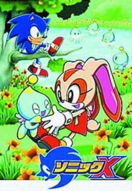 Anime DVD Sonic X Vol. 6 | Video software | Suruga-ya.com