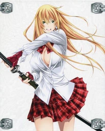 New Shin Ikki Tousen First Limited Edition DVD Booklet Post Card