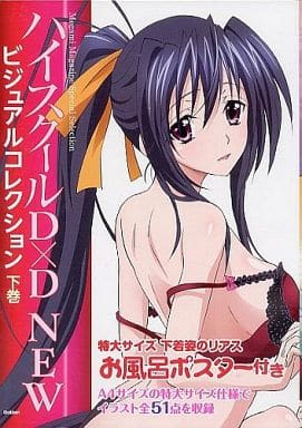 High School DxD New - High School DxD 2