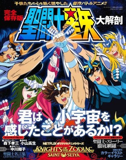 SAINT SEIYA KNIGHTS OF THE ZODIAC, Book