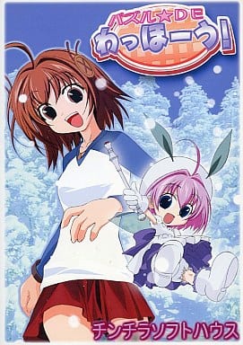 Jeu PC Doujin SHMUP : Sayurin Quest (Touhou Project) – Neuf Sous Blister
