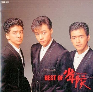 少年队/BEST OF少年队