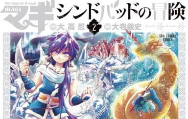  Magi: The Labyrinth of Magic, Vol. 2 (2