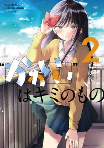 Kawaii wa Kimi no Mono (Wa () 2) / Desu no Su, Book