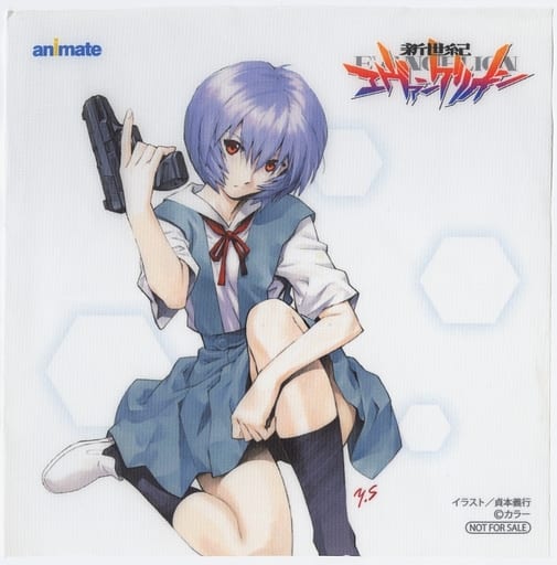 Miscellaneous goods Rei Ayanami Preservation Cloth 