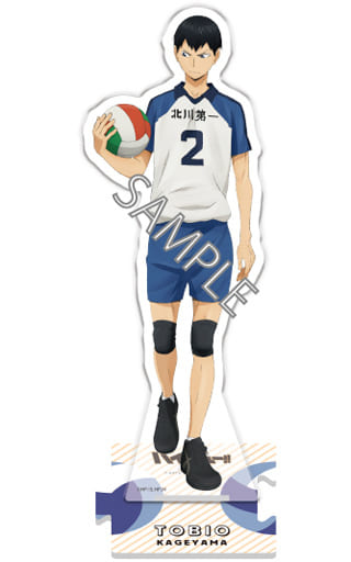 Kageyama Tobio 「 Haikyu! TO THE TOP Portrait Album 3 」, Goods /  Accessories