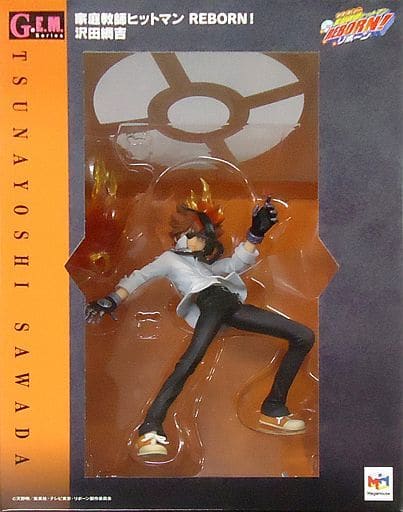 Katekyo Hitman Reborn! G.E.M. Series Sawada Tsunayoshi