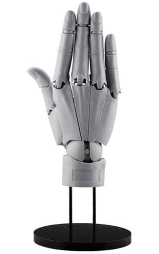 Hand Model / R-GRAY - 