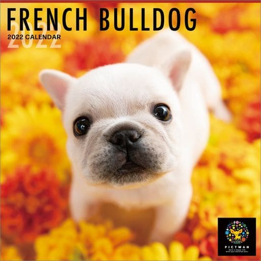 PICTWAN French Bulldog 2022 calendar | Goods / Accessories | Suruga-ya.com