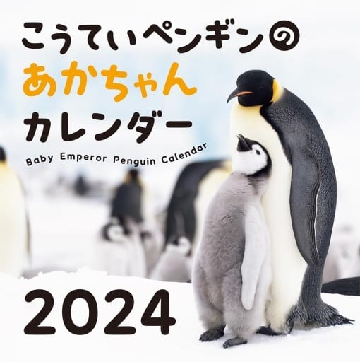 ABCD Baby Penguin Calendar 2024 Calendar | Goods / Accessories |  Suruga-ya.com