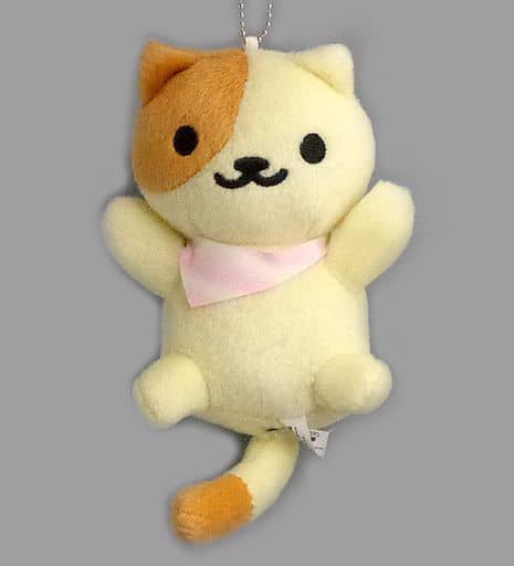 Most Lottery Cat Gathered To A Large Set! [Sekotto Of Tobimike's Big