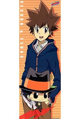 Reborn! Tsunayoshi Sawada Anime Character Hitman, reborn