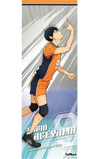 Haikyuu!! To The Top Ensky Character Poster Collection Vol. 2 SET