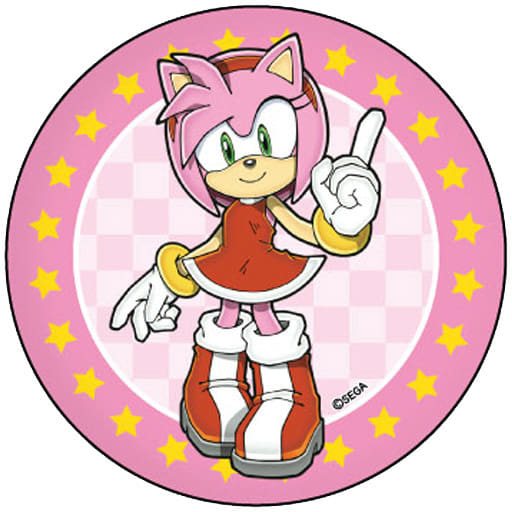 Badge Pins (Victor Character) Amy Rose 「 SONIC THE HEDGEHOG metal