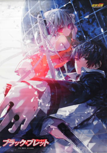 Tapestry Enju Aihara & Rentaro Satomi B2 Tapestry 「 BLACK BULLET