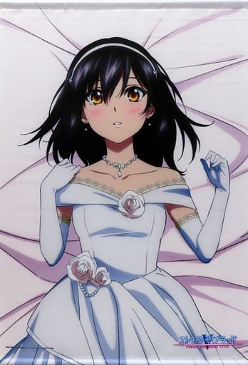 Strike the Blood Yukina Himeragi B2 Tapestry A