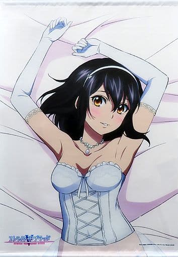 Strike the Blood Yukina Himeragi B2 Tapestry A