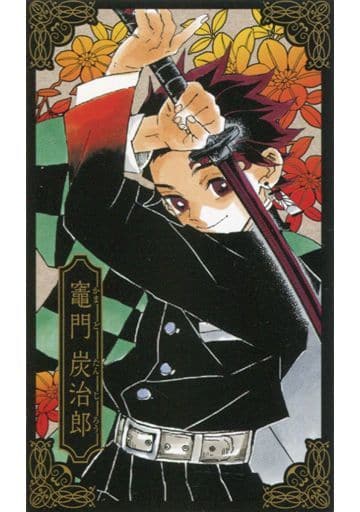 Demon Slayer - Kimetsu No Yaiba Vol. 13