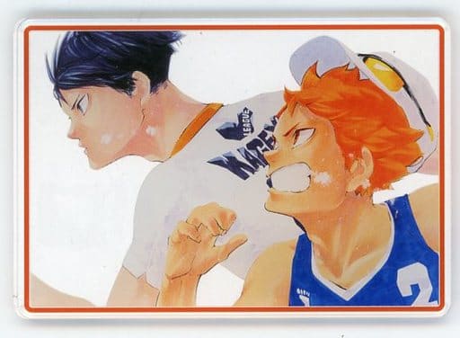 Haikyu!!, Wiki Haikyuu