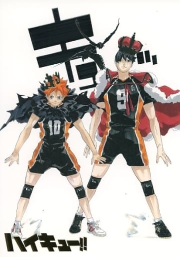 Shôyô Hinata Haikyuu Anime Character Paint By Numbers 