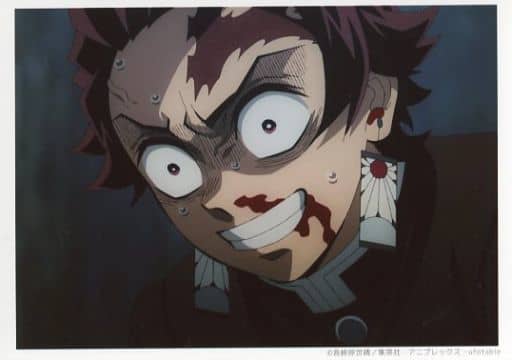 face, looking at viewer, open mouth, Kimetsu no Yaiba, Kamado