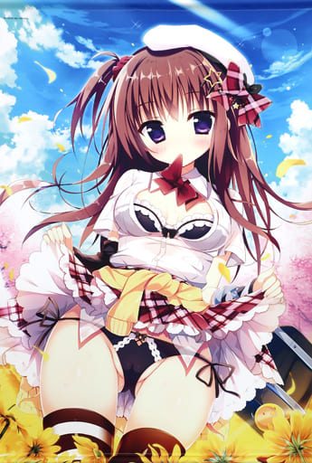 Doujin-Poster, Tapestry, Calendar [Original] B1 Tapestry Under wears 