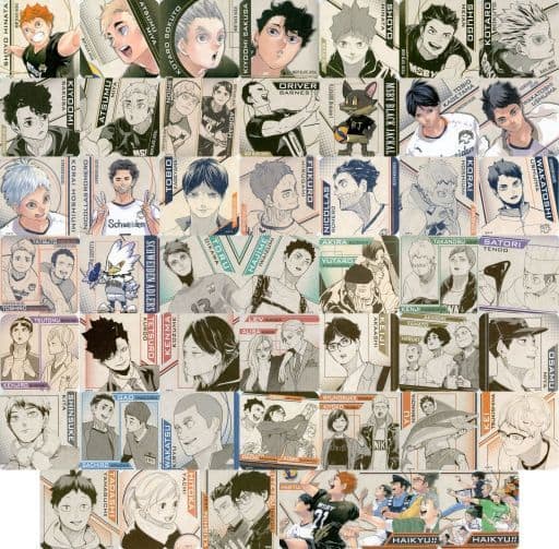 All 45 Kinds + Box Purchase benefits 3-Kind Set Haikyu! Art