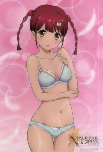 Chara Sleeve Collection Matte Series Valkyrie Drive Mermaid Virgin mamori  (No.MT232) : : Office Products