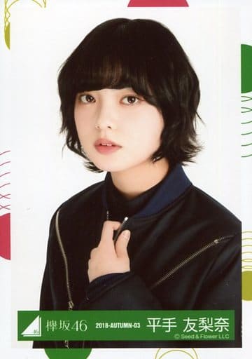 生寫真(乃木坂46)/偶像/櫸坂46 平手友梨奈/托胸/2018-AUTUMN-03/欅坂46