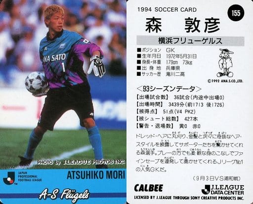 1995Jリーグサテライトチケット半券横浜フリューゲルス対