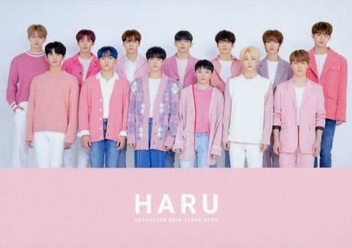 Collection Card (Male) / 「 Seventeen 2019 JAPAN TOUR' HARU 