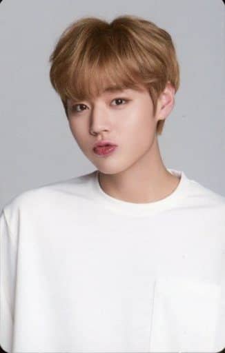 Wanna One / Park Ji-hoon / 