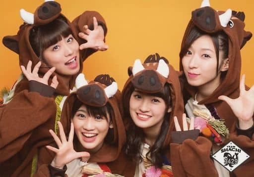 Official photo (female) / idol / TEAM SHACHI 3429 : TEAM SHACHI / Group