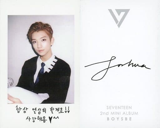 Seventeen / JOSHUA / UPPER BODY / BOTH HANDS CUSHION / BACK SIDE ...