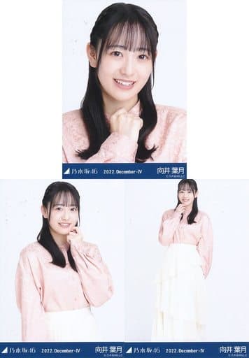 2023年秋冬新作 乃木坂46向井葉月 生写真 ６９枚 タレントグッズ