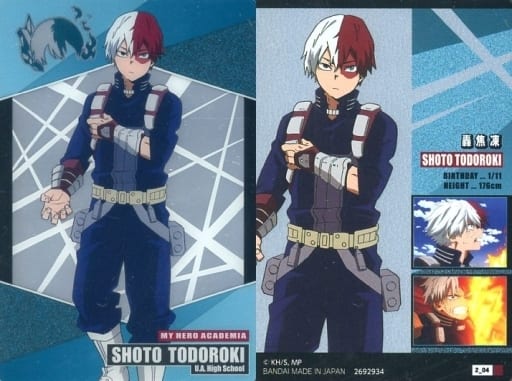 2 _ 04 Normal : Shoto Todoroki | Toy Hobby | Suruga-ya.com