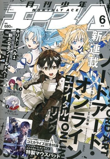 Sword Art Online Light Novel Volume 06