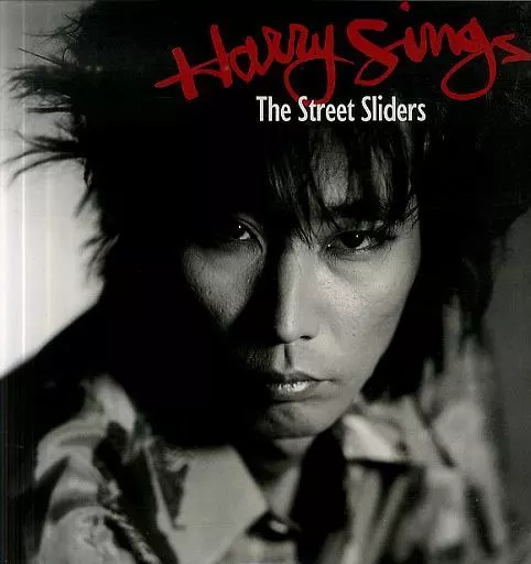 LD Street Sliders / Harry Sings | Video software | Suruga-ya.com
