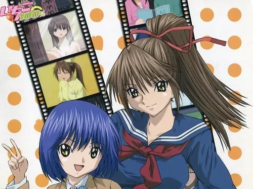 いちご100% スペシャルDVD とれたて編〈3枚組〉