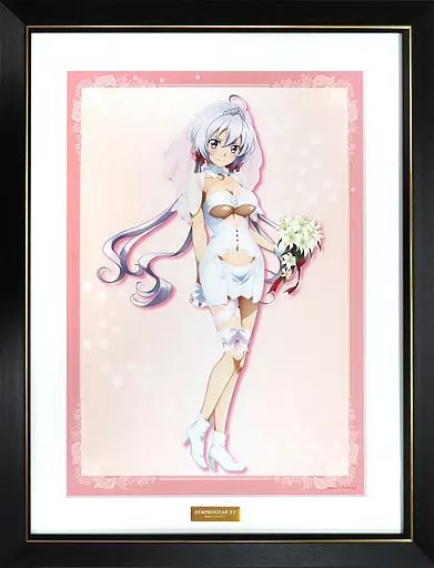 With Accessories) SENKIZESSHOU SYMPHOGEAR XV Character Fine Graph