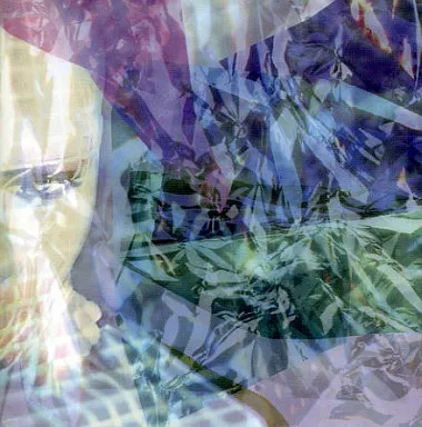 【数々のアワードを受賞】 邦楽CD Suruga-ya.com | 音楽ソフト | CELLULOID / Pierrot 邦楽