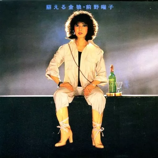 前野曜子 CD 3セット 日本音樂CD 前野曜子/复蘇金狼| 音樂軟體| Suruga-ya.com