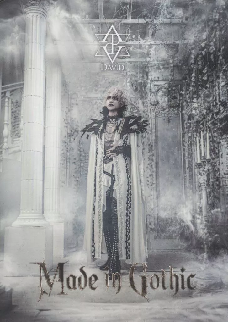 DAVID / Made in Gothic | Music software | Suruga-ya.com