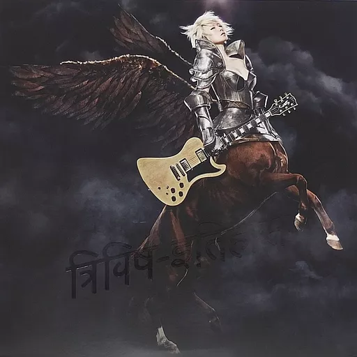 LPレコード 椎名林檎 / 三毒史[重量盤] | 音楽ソフト | Suruga-ya.com