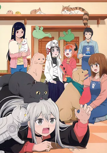 アニメBlu-ray　Disc　不備有)カワイスギクライシス Blu-ray BOX(状態：特製ブックレット欠品) アニメBlu-ray Disc 不備有)カワイスギクライシス Blu-ray BOX