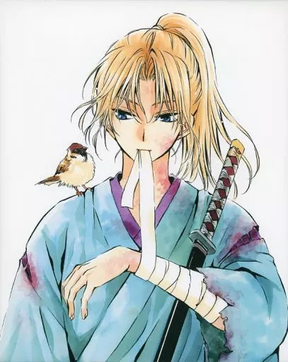 AKATSUKI NO YONA　ILLUSTRATIONS Yona of the Dawn 20th Exhibition Limited AKATSUKI NO YONA
