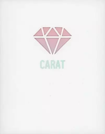 A la Carte] SEVENTEEN MULTI BINDER 