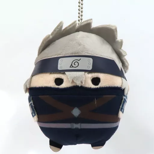 Hatake Hatake Kakashi (past ver.) 