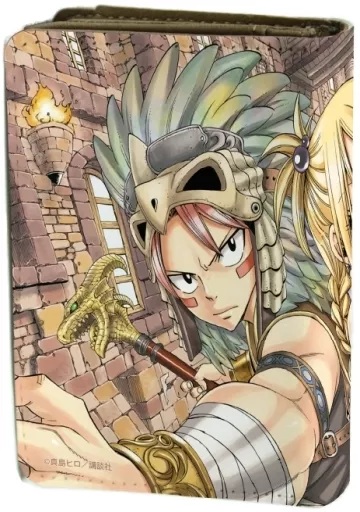 雑貨 2.ナツ＆ルーシィ 公式イラスト キャラケース 「FAIRY TAIL